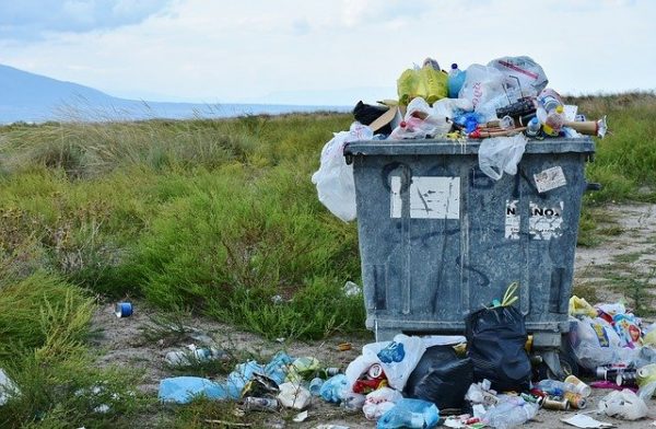 В Севастополе уборку мусора могут использовать ради политической конкуренции