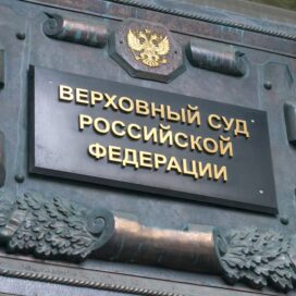 Верховный суд РФ приостановил приостановку «Партии Дела»