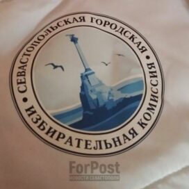 В Севастополе начался информационный обход избирателей