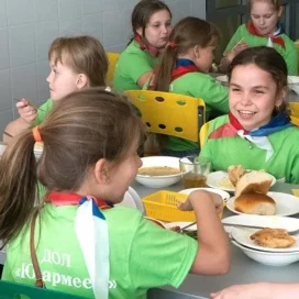 Детские лагеря в России этим летом примут больше детей